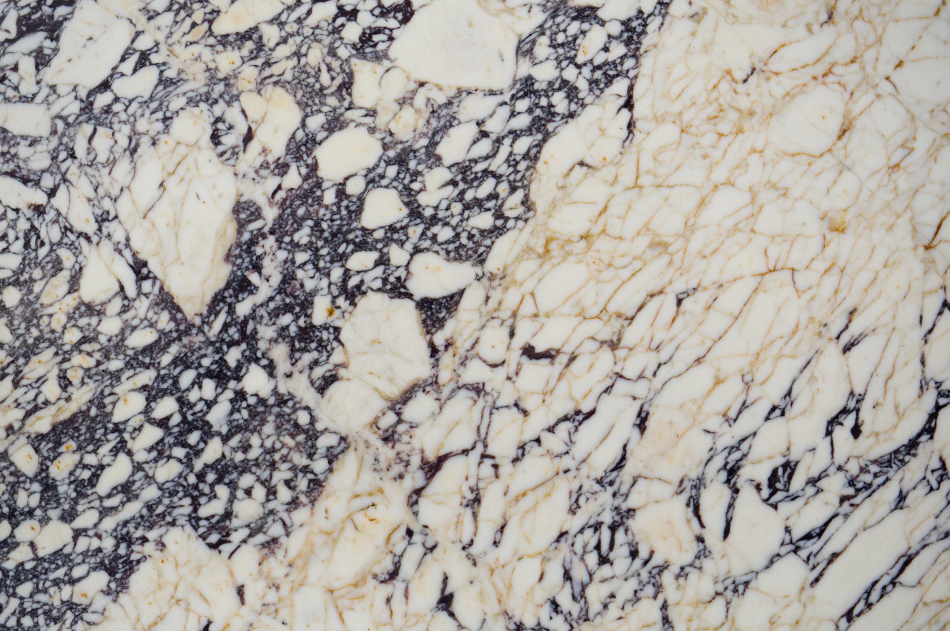 Calacatta Viola marble slab surface